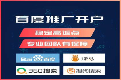 某某SEM团队成功案例：广告投放策略揭秘